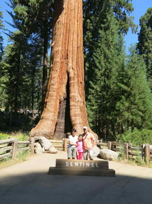 USA_2013-07-07 10-38-35_IMG_1105